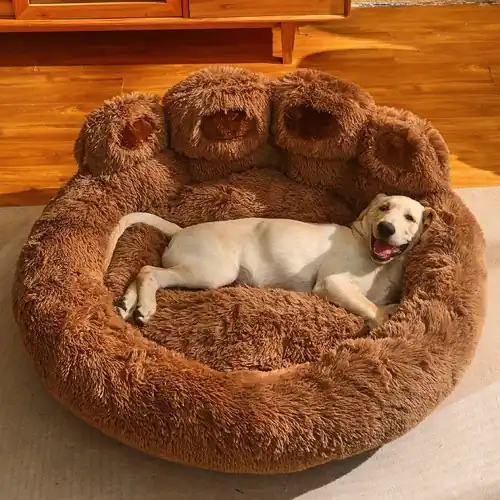 guía para comprar cama para perro en aliexpress